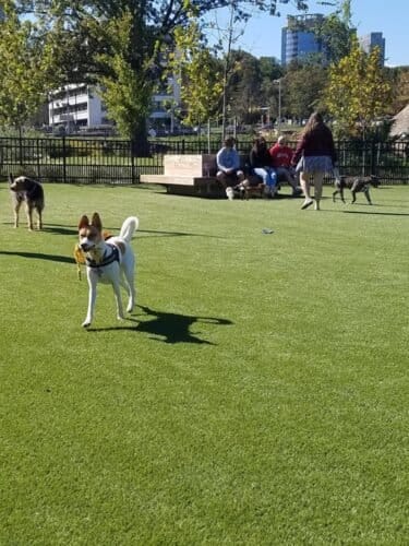 AC9h4nr8xNk3LOU1mb0uouLkk7LQvsA7dnMwuLdfenjzeG4ywY3s9 Y3Y JZcrmyMuikoXQ1KEAeIp 0tYYwigoRRumvfPrfOjRvmw92rEG0gm1I8L7N XNU6bTvv1qFvQ5ooQn KPRc8gw1600 h1000 k no