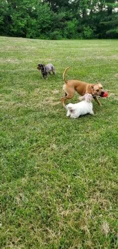 AC9h4nr8xjXo4Qh9UWbLg QkgBLSpybUTC HAgT pRSLR653zNqrVYZOV0 u6VYE7eePamaWU77zRFYOa8DV yPzkHa45Tbe1aoplZJ88tF3knKfN rPeOT n7UronI8i4deo8 BoZp w1600 h1000 k no