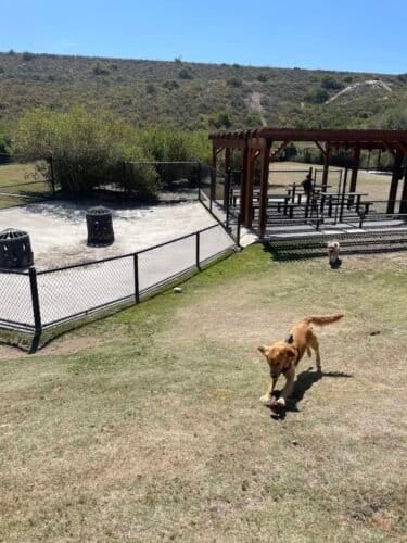 AC9h4nr91e3kAUg7KuX4DUSY6aKABKAfFbI7a0U7BfdoGlmo7dbnFPnPmj3mLn2of7KDJZAxKNzy47qm7QqkCRYdNqGku0LIpPlSipS40JDPbxvkGa6omVGGpo6gJVd9NY32ps 1IpZbKgw1600 h1000 k no