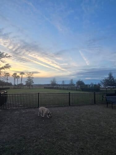 AC9h4nr95dGIn7hXocz8VlZm0WoGzSAiqsZt TANuloaDCC3MswSa3RTtX0R Vi6TKsiK4U64H0xZGS1w XgLNSpthQ2joGfDl timq9hfiPMRgdXHGnEGdECiiKoRB8kIiy0mb XedRw1600 h1000 k no