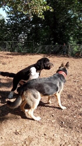 AC9h4nr9Ab5qroOzXDapC2Hhs63AezAgv3EyYwhBnHhfFUz cqViwpDSfJrhDg VbG9 IJ92OEjIKUpUzf5J00A71v1RTrkNglE2oeM9HbL5zdMEzeOhkzdcuGZwQCmHK7ouIC9p1WJQw1600 h1000 k no