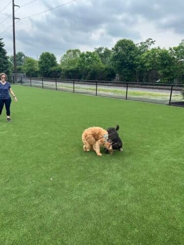 AC9h4nr9F T9HC4X5YIv3SHcVSxeFCeqbEVwvwlYNCVEVGaevnlho8ZHBaUDQLkhtvAjDxZ1 HoZWutzoe T71zSj FJrOUCuMTv0c878QxWINKTPgj9 vaehhB7bnQEiZGxKTEBr9IhSYt44r0Kw1600 h1000 k no