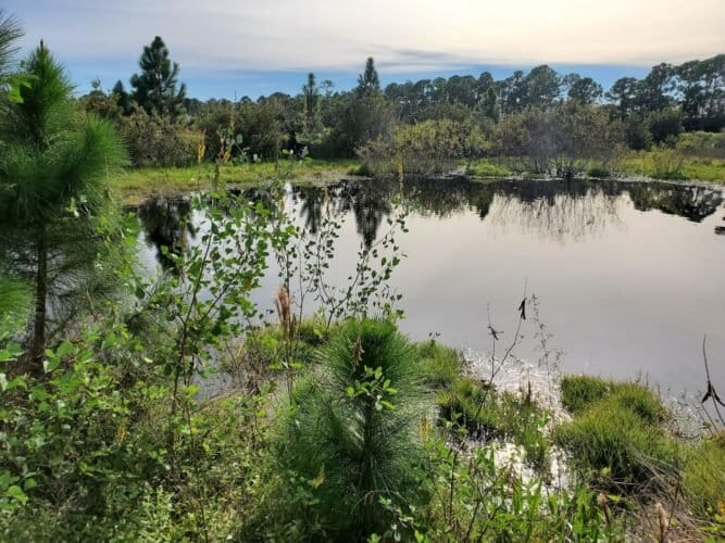 AC9h4nr9R741Cysc6etol 03iopBhntFATMq3Jzdx6oz5Nxt7lx9Gk8i2F9zClSnAppxnAgubFaOflOIwLSFP72ZabSLo2E7448rKIQM bD0Tzy6WuZ2USrpVJVRGB7XO4fZ 3eQCtNIfAw1600 h1000 k no