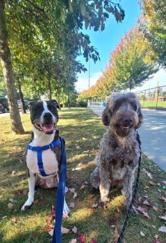 AC9h4nr9RjZbCzADYZf kpKG40MMZvByg mqJwTkQhgFwiqPCT1UPFG jK0xAaYWdd E Yx9KWMmxHt88tzAik2 Hn31FetjLPWCzMq3yR1ZE2OKuw8f e3cK5nI8fYea6Xd O1lghXyw1600 h1000 k no