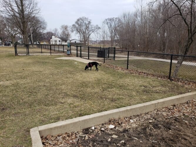 AC9h4nr9SxYaY0t1NMhqcVhnrcjHZsPGRjDNI oalmn66sVRunWTaJkvNXlerz1vF1 uz8aTrStI2FdN1H 38CsbLdloQW5XXZEHHNcxXgw1600 h1000 k no