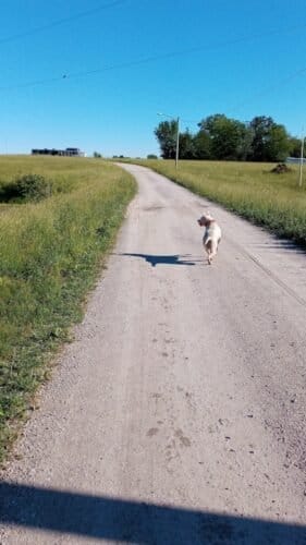 AC9h4nr9i7yaUdm90ueDJu l0mMFXCttJa8HHLfcbvRRl4ezXidsbxRKXbJ XW6e 5BO3H2izdDmGiF nvB2lFzCHcWANczPqyFah8M4Og WQJmFtF4 QctNCaKwj fbIvY5WaM8RK5oBgw1600 h1000 k no