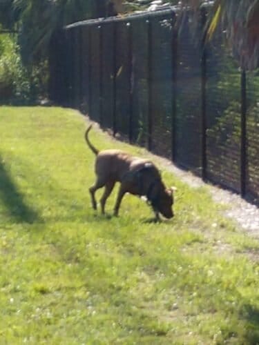 AC9h4nr9kB6z7cDy6lY2RpwCvXQD53oeGFOZr3I Zj H0L0HXX0u6TjtUPbkf  9JHtVp8VZHc7PfgEP1Aqyp784vWLXtd3XTsg0WehpInFdD ccl5bGn7yr5nIklZap8toKQM5ifU5 gAw1600 h1000 k no