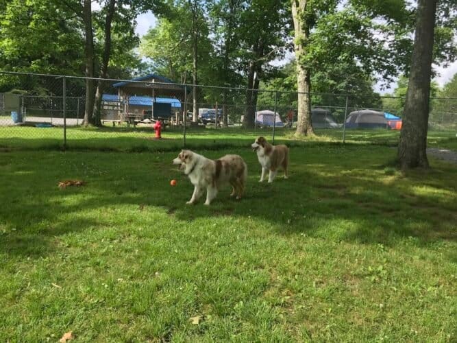 AC9h4nr9pUVuqoXoeQKu0NmzvBGFlQOJvvYcoPcgcL 5Dvg0yHn dsPLPl9oBnFDozAJSc9x hlpCSJW0Bsz2Kuwnregs5MTSs15A13FzZDBXA ziNScWcxJ08x2veYEJIjQVqPz71kw1600 h1000 k no