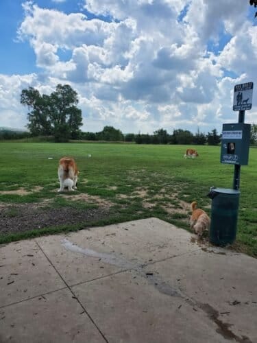 AC9h4nr9sNGAv 5UcGVuWmlQeduMO5yZqp JUWqqynzxKijwnA23IacUb06hUQz2RuVsmcUB3BjrZdgzdcWNpWvIcjxqciF0LIzmW9WAhUSiRp1X41qZgA7lip1bLob HCskdo2fw4AIw1600 h1000 k no