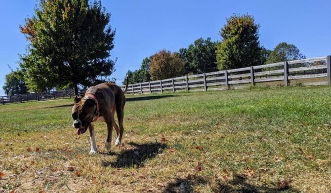 AC9h4nrALJkp n859FJQnpfMvpA5D5aMO5RSIWTMN5 on8Syhw9LJ69DfAw TtPXMMSqLwrZNWwES2SSPbs00XsAWPQhjMqTgxrYH4kcDSdqDfDc8UcXc1QQ9oVkJkecubi ihvbCNCB3Qw1600 h1000 k no