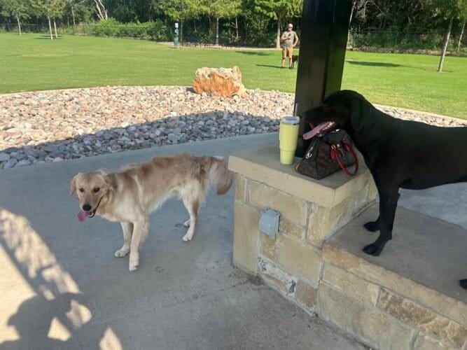 AC9h4nrALQWGya8Tr3mTq2NEUYrkZhoGF3LqxYH1hI hno65BPAR9FiczfUk2W3xx53BzCahCFYLZRfy RDCH33fe9iimCPJhDPtur IFS2jQ4ce8LfJXSMk3Zf5TKED0lxlpFnxbQuWzgw1600 h1000 k no