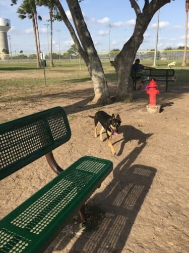 AC9h4nrAYQIgmgFA0T1K L0YHsx7rgmPD6mlm4epZuEPM4V4 1OLYn8W zFFVXeomZIDSFv06Ex0tqHYwVcGsPbpbDHAjI4kG BHm2fIFANsUsIvJDpD GyJfJiWzNjeLvQB0 b6of2yw1600 h1000 k no