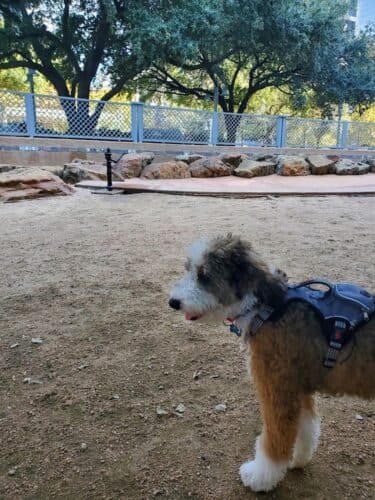 AC9h4nrAaibyThsGNmAT rZdIGRBEDGDQF5EqYoFXCWb0 92xY3JblTBGLRvUlV DFcfEf1 SC89GhXe9MW Rc8HwupULxBSzE9U0asaAAw1600 h1000 k no