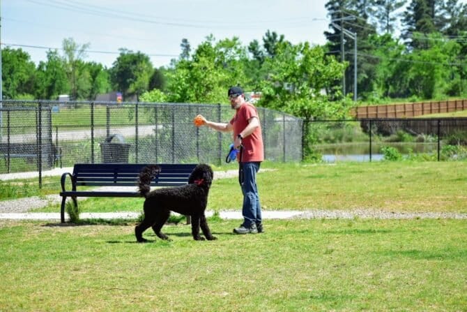 AC9h4nrAdtIEtg JayQnh8TMgCcSAo5asprDVCUQMD72G2Y3DHy yDFYp2go20CuU26QsXQpl3B69Jyxf3GAMk3gtryHsYO21q1mda7EJVa Kiip  3ydswzINU5bKGw0bYwZ80YaNr1w1600 h1000 k no