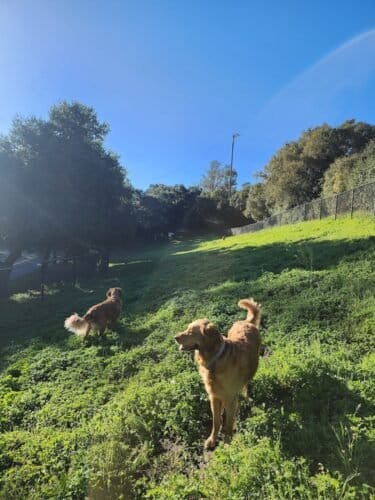 AC9h4nrAiGmTUahjcE8hWB SbSwFBVYU48Ocy1MVyk C1 ewv0U643yuDwLjbet1 kjyA66ev8vktFUU1RSRXV6ROIAZRlZ83K9vM K1 xR7ZJYmhFpcT6eDcJgzQso7ckhvKHNsyt3pw1600 h1000 k no