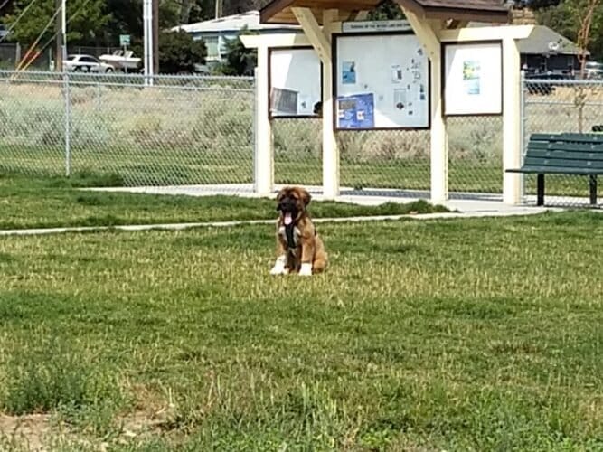 AC9h4nrAspeGPDwE7nQMCRD UHN172765MICUj9rWRZL1arviekEvcPaSM31uW QoBx7zfqJcwnp0 Wg8VNEUVs8Y dgYdnBOVhHJD9OarRcZEsXLI TNIkPIhVZ2uJllJrr1 4WJkmfRgw1600 h1000 k no