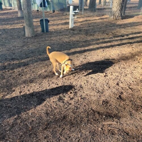 AC9h4nrB2e Pg2ehdHcGkNjl8JD3c UmynxtJSxAIDLrRx3hWFaURHUdivurp5vys2TaY6KmlDpl9hV1f QC3Kul0pGqW3z6GHZd0 EIu c yu3uDTfpyfYTXilhjXAd9VScLCjANww1600 h1000 k no