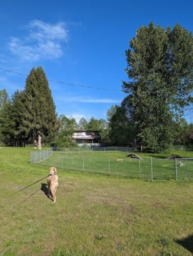 AC9h4nrBF XEpuOwu3TGtKi69NSr0NMZvHL5iuoIqiYQAEpUXQtZmhwtGDJ93HZ d2pDNbHQWr2fyqKadlPeR aZ0PClWXO8S4DvdfA9H2cPLNqMchaKUbZ1Q9uso snaDpRU4zWabtLw1600 h1000 k no