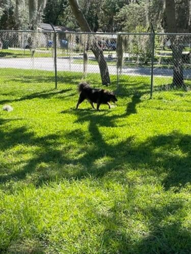 AC9h4nrBTsKMQUo7r1VMuTNdtFBhIITPmipSpu5oW7uGzhTE1eGbKFkx0MeQE3BygSRLA7PzHUYQywAVFBvp AUJpc8RbJXRr7m2Hiq7SNOyx6A7xHnbOWUvETkHyAcA2aO50M1faAAebww1600 h1000 k no