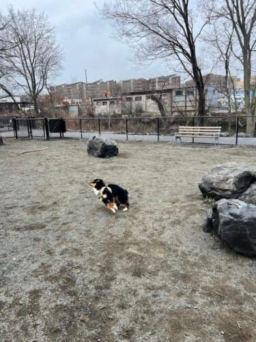 AC9h4nrBfOeuVblBZwivm7dMDT7NDIGavLMpQDXlHt n99zUq7Gvc80C FvwiJXXfcJhPsfY0Z49t6lw9fLjUpiZuEEY9NfRC00eh36JmQw1600 h1000 k no