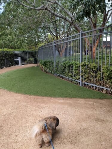 AC9h4nrC8cBYVfdawWCposdyiZ MrpnAHz2jHK2hiRt DqxTsBl8tcFeY7SL9pYAqJztfCeGkvR3ky0HC61DPkNlU17RJ7m32AVqVquBQDF94ooIXRVspsthnl2b7uJG6w0Ixvo0osGyw1600 h1000 k no