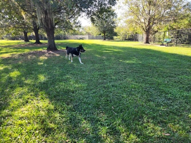 AC9h4nrCErZ IDRxPhlMHMtO6XRes0u2lhciZv9baTt797iqvM53BZf5aLKfmtAb0DAofqzJkypZZx98AfJG9hBO6mGT0yoJMRSwmsMyvaxEHZ2IeA2gR4HjcvVkmDB0zCL6d4I9PeoXxww1600 h1000 k no