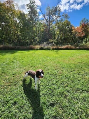 AC9h4nrCRdd 7DPTd dPnY5Cv J3fTLZglf2jVDrNQEsijyg hSsKMZMG1cc0NVZBSC8xwXyB5ATV6r dCJhx8za3s bNwSvUERHaoA H8T9NT9mDoxqbsPEDgrRWaLfqwhTtqBvZtVFAw1600 h1000 k no