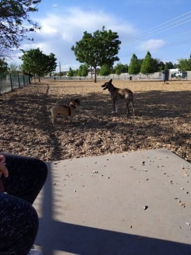 AC9h4nrCUkKw6kfNKkmF8AoIhU13l 3Jo5CRTljT0F74cQmEqxEO Rc0OqPyBfYImwMGfm0hJI6LNcOHbMTs0LlfUEJh 1A1LVBavtG0pMlWFdSYfPT RvsoPltqp4r6EHIO8yC lGFjzQw1600 h1000 k no