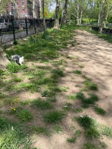 AC9h4nrCa7dMp8yf6  JCeTdP1AFCuFumIn6HO5W7RfcqRH6khUzAgoSefXlRQGoQB29dH527MNoztFGYFy8bGgz1c3wzCtv6ydZZhDOm sfRXne7USTsJplvmPTZoLtyiPVKrYPCU0hw1600 h1000 k no