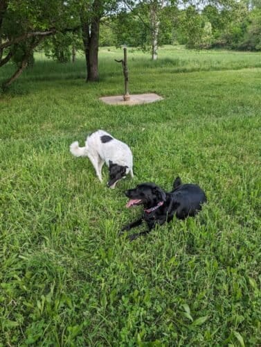 AC9h4nrCdp3 mhtm3MA94xiy61UMpqrM9HjK TFGV4xFg4lPgt1MxRpz8V MXnmp BI WaOCE9VMiH5kDWaut bCKNBsyVikcxE NxaXWZdlqyM7NlMKszRFoSM3Gtry ytHaP1jKa5yiAw1600 h1000 k no