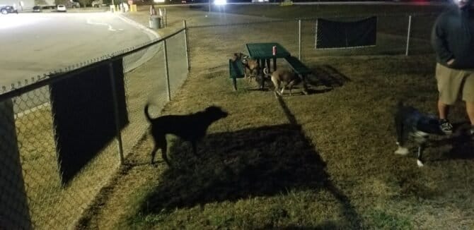 AC9h4nrCeY BPDZ4myrlaUt3KJhMcUYN7eS5cozOd5 TqhGEXn7O SBW1 I2YnyoGEQ9 IFmXCuPyT NUYzZTQzY15y8uJhqWnfRrexh3Fgob9kBAbA99z9Dco4BETU uRGZRtBFQf9iw1600 h1000 k no