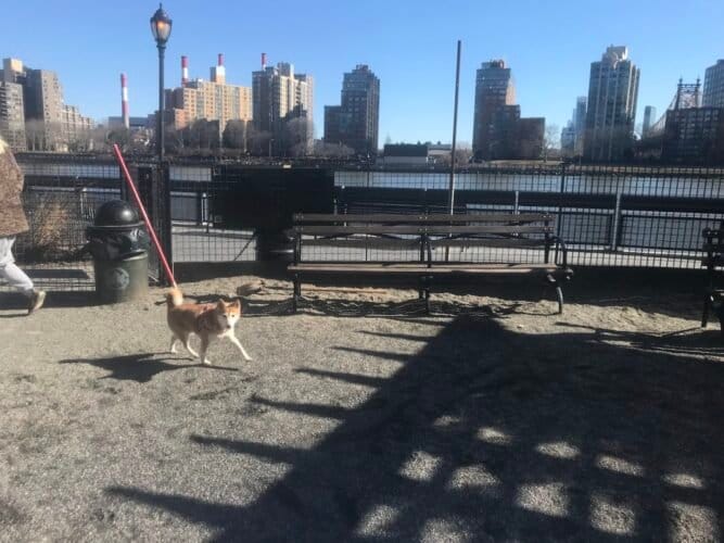 AC9h4nrChjrL5PWQRvq DHaUTn12ZvNOiX1HNx7qXuuLQVVYq9mIgsMVbSDRCiodJQErMxMgC5sQLitlltxL6ksXjzP9vpfV8 Ux2CYIT fE3gMQm53HQBPBCMjK70 x4QFFmxQoc4Aaw1600 h1000 k no