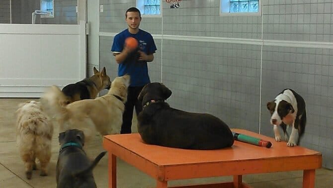 AC9h4nrCj1l9qQ J9Den aa79AbNcGqPx8ED 3Me5eMCzIRQG2lxj00EU vpDMAf8YOCEquZyHBnIqNoSa4suO6tvzy2V4e9U9Q58Q3Yw1600 h1000 k no