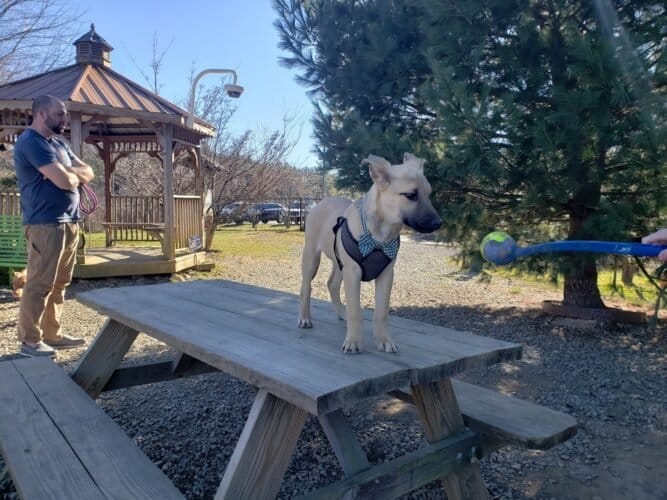 AC9h4nrD06geD3AHRVvRInXjlDgcER8 T8uJa1g 5XvmBASiUzD44Cy pbWL1RfNLuHVvmm6pd4BAMH07n8SsESVrSzShEiIAD0ym8Fua4RYrocvKWSQSbB8T35g9EqomPPYupfpXCarw1600 h1000 k no