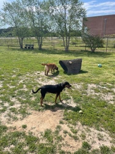 AC9h4nrD29o9x40PH9UGxWx3fnGqkdX6IpTP2yC7VsM4Tc j2ZkHXI9uCk2A kL tEZksO8mzwjdAtOEBmVps8Iwqx0vumCEPSMV7c2aAajrIHKvPM0Yraqfk0MyRQVFXPeAa rhVWcw1600 h1000 k no