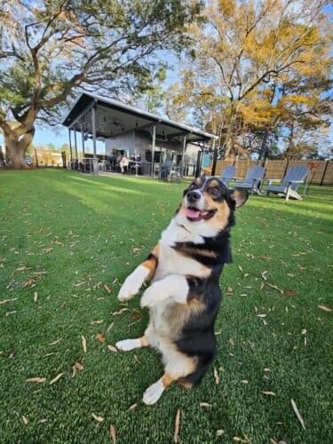 AC9h4nrD4OX3jNUWfpopDdmZyaJmFyKY 6pEtubPTJkUMlpNqUKM6wW8PREa2izIvshVYx5YR1SLl8QUYt3dQZJ1hAD2IRoaKoKngy4gZu M0i5YKnnn0eeAIkIY7hSdK05Dwc4XQbfIYww1600 h1000 k no