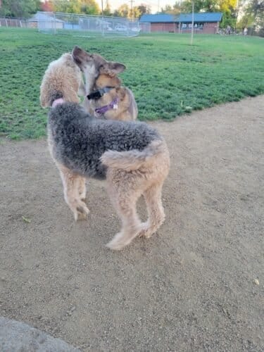 AC9h4nrDAm6SL yA46ws7GTRtbARtkpG9 aynX cKTJD1NWdOcLWM67IE4RE jHnG9tFPqE2cKpJOjm00E10Rog5mtDUFStlm0i3izdP3sEwW2j8R j kew79oGNX5T8AOu0KCjfpoxcIgw1600 h1000 k no