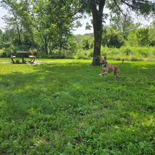 AC9h4nrDOvGCgy2oGHElL0lzIrUp hT9Fj80fgRSK0Dp5J5JGnUBsaHm EpwzVGGHMlVW78JBcoCF TECQgYmAiam GvIWKC1skRqzSiMGUmb2TEL3sBPvI4hQ3cinHfjqafz0Znp dw1600 h1000 k no