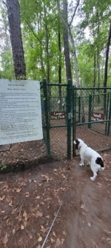 AC9h4nrDQDX6AqwB0FeAPFW4QG0umMuvOD21nhTd9 3Y258XW1 rkVZzsM33lYVYQbCXUsRa7 AAEDpCFFbv4IuHCwTiKyuyD51PIxRF9DiQywas0W4xXseCDzMKSiqv6nZvAjm7b1DEw1600 h1000 k no