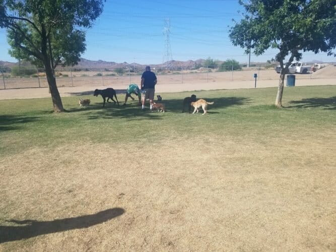 AC9h4nrDRxqyLBs9WVPtR5UJjx8E0j11iCO296axIzlyXEJhAcFy1Ye1Y8QwlU0wIIq0Ia xsW6qhURmGhhCv xGEfHe6Ivwa3REMw X Qn28Plt8lL rXNGWdL03QddXE U5F1j6TS1w1600 h1000 k no