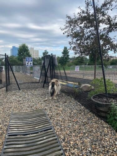 AC9h4nrDSDeW67oiY4Nyu7UASoAs4HRb8jBnrAcQCIz8ega SfNFJJXhejjqnoClolfAV521GlhHnsF5HE5P5ib 0awhA9mACzrCXyhcchae0MlX5bwzdxjt3IkCswd4RvKFxPl7qtAsw1600 h1000 k no