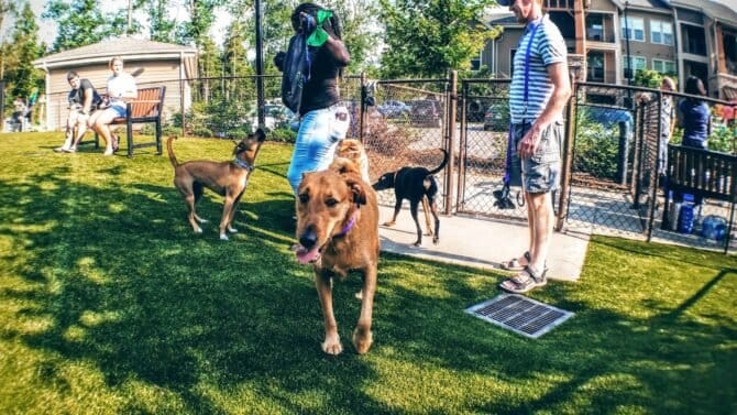 AC9h4nrDXEleg7LH5829f11UQYV7ISdOM9Rzk9m51UJYu5orgJ7POH44Y3OzVEEk7azu0pC6OxPrFhWbSRDfD2 2KLUmChR6FsUZfOLQHli86Q3LtXOzoBVjeBXg2YLyu0deEsUGshvsVQw1600 h1000 k no