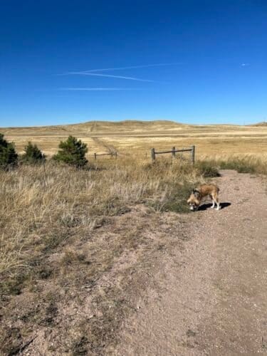 AC9h4nrDaawybOa6XeuzWrp5avhXAx5UYD0Mdeidu Nfv06WtETtlyKKcnH 7IuNMK6kl405jx5s8vKEfzY372Ksrc3QtfXQBF2J3lAegAHoD4IL5W7F1gNQFsE T3O3rrSdxt7xOZnMoww1600 h1000 k no