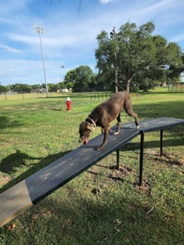 AC9h4nrDlcISjl qfuDqDUXQO1ho89ho0m4bhQmK5I Vk1 qzdAUcw35IEv8YviYr9RbemoOdbXk 96iruFF3aOWckZpekLholgH08TEjGiuffEXlqXg vvEgiCdRVrNCANjlgwV LYw1600 h1000 k no