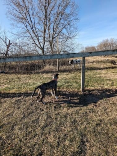 AC9h4nrDrmzDXVqfZRMDmdHN6GNBA0ZMzCUVVe73keQl2vPnkIFJ7EsyC1VQQMGndFCwIgawNQewDXwC9VI4idV4Y5Vjt 20ul0BVIe50HdOaD0i6Zw KhwNF3XQINsrn3bzZXBouxlLGAw1600 h1000 k no