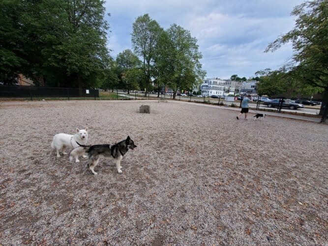 AC9h4nrEIk 8dj986CPhmdhC2jzFzG8NSHLvbI2i0J3gLitZ811DCcrmjosuyVs4nJJ3MHTGQfAPmbaD9Nendm7aLIX9CPg536mL fu6L oOKPMPfSL OChKoFWWZxGWHM Jeg00Oy0ew1600 h1000 k no