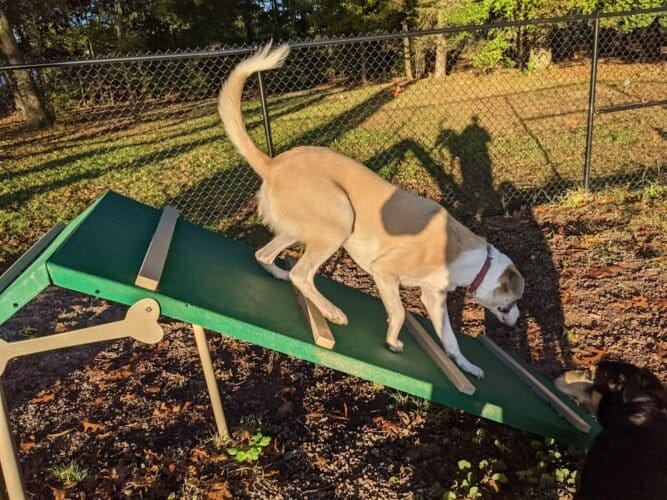 AC9h4nrEJ3VltcvbvDu5Dgdl6bYgEI34zQUGXDJXieI0ei2VNTvIGl u55yh5TzCWIKGqYioBImmmQvXf8sZSIjKxZarSTFA4Db4bDMHey 5kbMSNdD8xMJCNCLA lXcXMmw0pXVJiMZw1600 h1000 k no