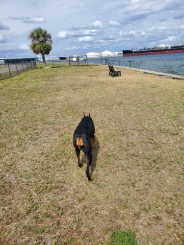 AC9h4nrE UD0t4mjTNx9MsKmJQT6yyN8tzM6mET1rogttLRhcD9Y9mR80dLq N gvm8dps1YSZycY43uah4g gvNexy11Nc47Iqal6ARtbTczyMcqx1kau89DHai5yeCKkVYRpV6KYXxw1600 h1000 k no