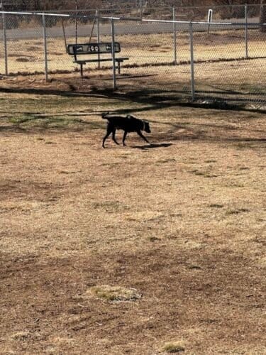 AC9h4nrEgaHYyTvb7U La3sATfVXgfrCvzftnEEzLLKbxZQJ1PbA5f Xe bpCxG23jUpCmBwZNtp qxPvLMjeBpMutLO0wlyilxKrA5YdTQw1600 h1000 k no