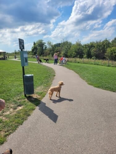 AC9h4nrEnZm9noS6kSLNVACyoDwJQGwAbAFaLz2MLcJg1NXjjneviFvAWwi fPn3fYDqbEEoKEPl0Qr5v7DEAFHuemK0 rqas8y6AEkpEm1A0ah262VXzVPfIjp1aNDR8B0up 2xbgutw1600 h1000 k no